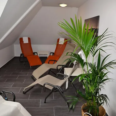 Отель Trip Kongresshotel Frankfurt-rodgau 3*