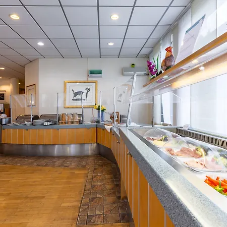 Trip Kongresshotel Frankfurt-rodgau ロートガウ